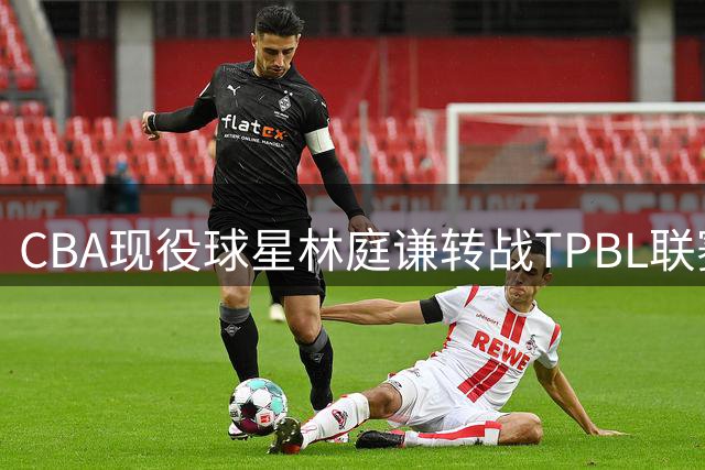 CBA现役球星林庭谦转战TPBL联赛 台湾球员回流潮引职业联赛发展思考